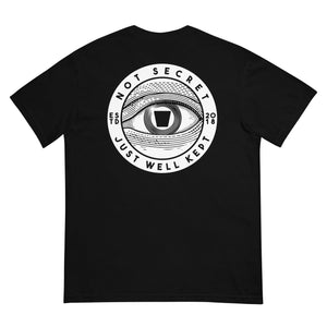 Not Secret T-Shirt / The Eye  (Comfort Colors)